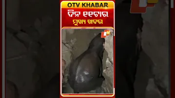 ଦେଖନ୍ତୁ ଦିନ ୧୧ ଟାର ମୁଖ୍ୟ ଖବର | 7th December 2025 | #OTVShorts #OTVHeadlines #BreakingNews #OTV