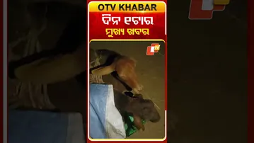 ଦେଖନ୍ତୁ ଦିନ ଗୋଟେର ତାଜା ହେଡଲାଇନ୍ସ ଅଳ୍ପରେ #OTVHeadlines #1PMHeadlines #Odisha #TopHeadlines #OTV