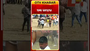 ଷଣ୍ଢ ଲଢ଼େଇ #OTVshorts #BullFight #Ujjain  #Madhyapradesh