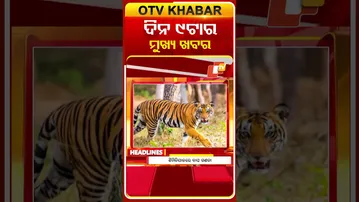 ସକାଳ ୯ଟା ଟପ୍ ହେଡଲାଇନ୍ସ | 9AM Headlines | 3rd February 2026 | Odisha TV | Odia News | OTV