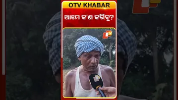 ଆସୁଛି ବାତ୍ୟା ଚିନ୍ତାରେ ଚାଷୀ  #OTVShorts #FarmerTension  #Cyclone #Baleswar