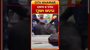 ଦେଖନ୍ତୁ ସନ୍ଧ୍ୟା  ୫ଟାର ମୁଖ୍ୟ ଖବର  #OTVshorts #OTVHeadlines