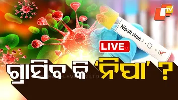 🔴Live | ଗ୍ରାସିବ କି ‘ନିପା’? | Nipha Virus | Nipha Alert | Health Emergency | Odisha | OTV