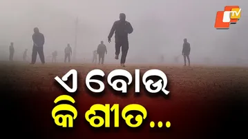 Dense Fog, Bone-Chilling Cold Grip Koida as Visibility Drops to 20 Metres