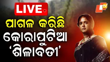 🔴Live | ପାଗଳ କରିଛି କୋରାପୁଟିଆ ‘ଶିଳାବତୀ’ | Shilavati Ganja | Ghaati Movie | Koraput | Odisha | OTV
