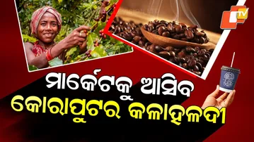 Special Story : Koraput’s Black Turmeric Creates a Buzz After Coffee’s Success