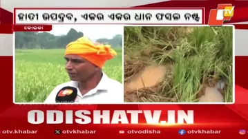 Patient Transported on Makeshift Stretcher Due to Poor Roads in Malkangiri Village