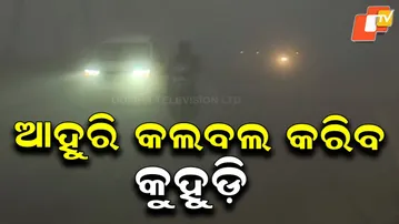 Cold Eases but Dense Fog Grips Odisha, Orange Warning Issued for Several Districts