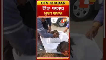 ଦିନ ୨ଟାର ମୁଖ୍ୟ ଖବର #2PMHeadlines #OTV