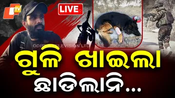 🔴Live | ଗୁଳି ଖାଇଲା ଛାଡିଲାନି | Army Dog 'Tyson' Shot, Leads Troops To Eliminate Terrorists | OTV