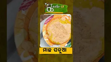 Taste Of Odisha | ମାଛ ପତୁଆ  #otv #otvnews #tasteofodisha #food #foodshorts
