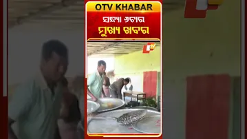 ସଂଧ୍ୟା ୬ଟାର ବଡ ଖବର | 12th December 2025 | Odisha TV | OTV#OTVHeadlines  #TopHeadlines #Odisha #OTV