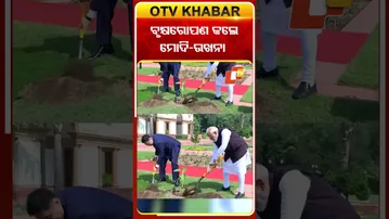 ବୃକ୍ଷରୋପଣ କଲେ ମୋଦି ଉଖନା  #OTVshorts #PMMODI #Mangolia #plantation
