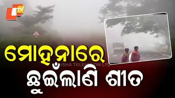 First Touch of Winter in Mohana: Chill and Fog Blanket Gajapati Hills