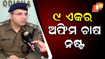 Opium Cultivation Worth ₹1 Crore Destroyed in Rourkela Police District