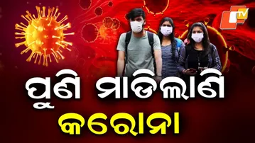 Special Story: New Stratus Covid-19 Variant Spreading; Know How Dangerous Is It