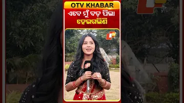 ଏବେ ମୁଁ ବଡ ପିଲା ହେଇଗଲିଣି#nehanageswari #toripaintopainserial #otv#odishatv