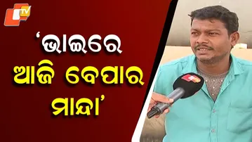 Elephants Roam Shikharchandi Hill, Traders & Tourists Speak About New Year Picnic Woes