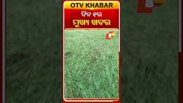 ଦେଖନ୍ତୁ ଦିନ ୧ଟାର ମୁଖ୍ୟ ଖବର  #OTVshorts #OTVheadlines