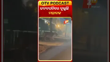 ଆନ୍ଧ୍ରପ୍ରଦେଶର ରାଜମହେନ୍ଦ୍ରୀ ଅଚଂଳରେ ଜନବସତି ମଧ୍ୟରେ ବୁଲୁଛି ବିରାଟ ମହାବଳ ବାଘ #OTVShorts #Rajahmundry