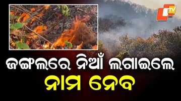 Odisha Forest Dept Prepares Ahead of Summer to Prevent Forest Fires