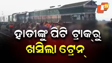 Eight Elephants Killed After Being Hit by Rajdhani Express in Assam