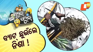 News Fuse 10 DEC 2025