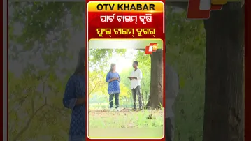 ପାର୍ଟ ଟାଇମ୍‌ କୃଷି ଫୁଲ ଟାଇମ୍‌ ବ୍ଲଗିଙ୍ଗ୍‌ କରନ୍ତି ଗାର୍ଦି #OTVShorts #Gardimunda #OTVshorts