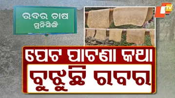 Rubber cultivation transforms livelihoods in Paralakhemundi