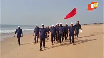 Puri: Hundreds of Dead Olive Ridley Turtles Found at Sea Beach