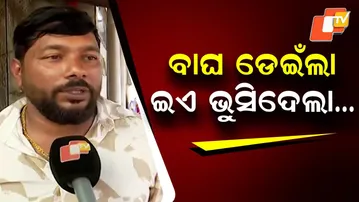 Man–Leopard Clash in Narsinghpur Leaves Leopard Dead