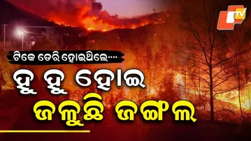 Patagonia Wildfires: 3,000 Tourists Evacuated as Forest Fire Rages in Argentina