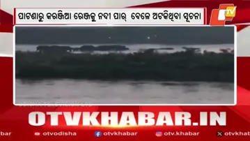 Forest Authorities Monitor 30 Stranded Elephant Calves