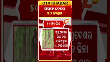 ଗିରଫ ହେଲେ  ୫୦ ନକ୍ସଲ  #OTVshorTs #naxal #arrest  #Andhrapradesh