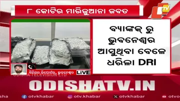 8 Kg Marijuana Seized at Bhubaneswar Airport, Passenger Detained