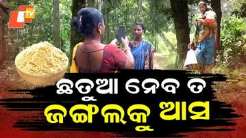 Special Story: No Network, No Nutrition Pregnant Women Trek Forests for a Selfie Proof in Odisha