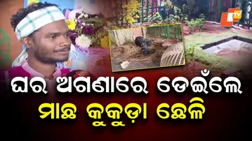 Santal Tribal House Display from Mayurbhanj Amazes Visitors at Adivasi Mela in Bhubaneswar