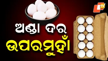 Egg Prices Rise in Bhubaneswar, Up by ₹2 Within a Week