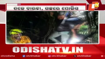 Panic in Khordha's Barunei as Bear Terror Grips Area