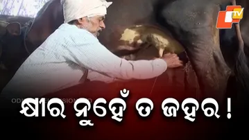 Widespread Milk Adulteration Exposed: How ‘Nectar’ Is Being Turned Into Poison