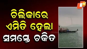 Spectacular Tornado-Like Scene at Chilika; Water Shoots Skyward in Viral Video