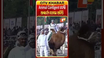 ଆନିମଲ୍‌ କଣ୍ଟିଜେଣ୍ଟ୍‌ଙ୍କ ପରେଡ ପ୍ରଦର୍ଶନ ଦେଖି ଆଶ୍ଚର୍ଯ୍ୟ ହେଲେ ଅତିଥି ଓ ଦର୍ଶକ #OTVShorts #AnimalContigent