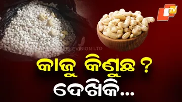 Cashew Scam at Konark! Tourists Sold Nakul Dana in Flashy Packets | Odisha Tourism Shame