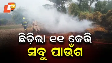 11 KV Power Line Snaps, Paddy Crops on 5 Acres Gutted in Balasore