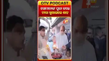 ଗୋମାତାଙ୍କ ଆଳତି କଲେ ଚାରା ଖୁଆଇଲେ ଶାହା  #OTVShorts #Amitshah #Makarsankranti  #Gujrat