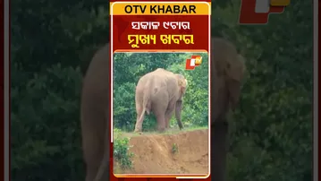 ସକାଳ 9ଟାର ମୁଖ୍ୟ ଖବର #9AMHeadlines #Headlines #Odisha #OTV