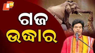 NARAYAN NARAYAN EP 08|ନଦୀ ମଧ୍ୟରେ କିପରି ପ୍ରଭୁ ନାରାୟଣ ହାତୀକୁ ଘଡ଼ିଆଳର କବଳରୁ ଉଦ୍ଧାର କରିଥିଲେ