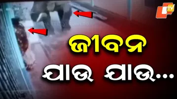 Wild Elephant Charges At Woman in Falakata