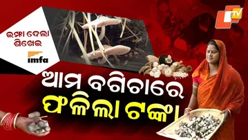 Special Story: Women Turn ‘White Gold’ Mushroom Farming Into Big Success