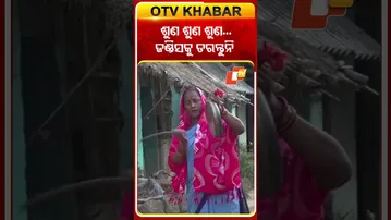 ପିପିଲି, ଡେଲାଙ୍ଗ ଅଚଂଳରେ ବ୍ୟାପୁଛି ଜଣ୍ଡିସ ଆଚି ଘଣ୍ଟ ବାଡେଇ ଗ୍ରାମ ବାସୀଙ୍କୁ ସଚେତନ କଲେ ଆଶା ଦିଦି #OTVShorts